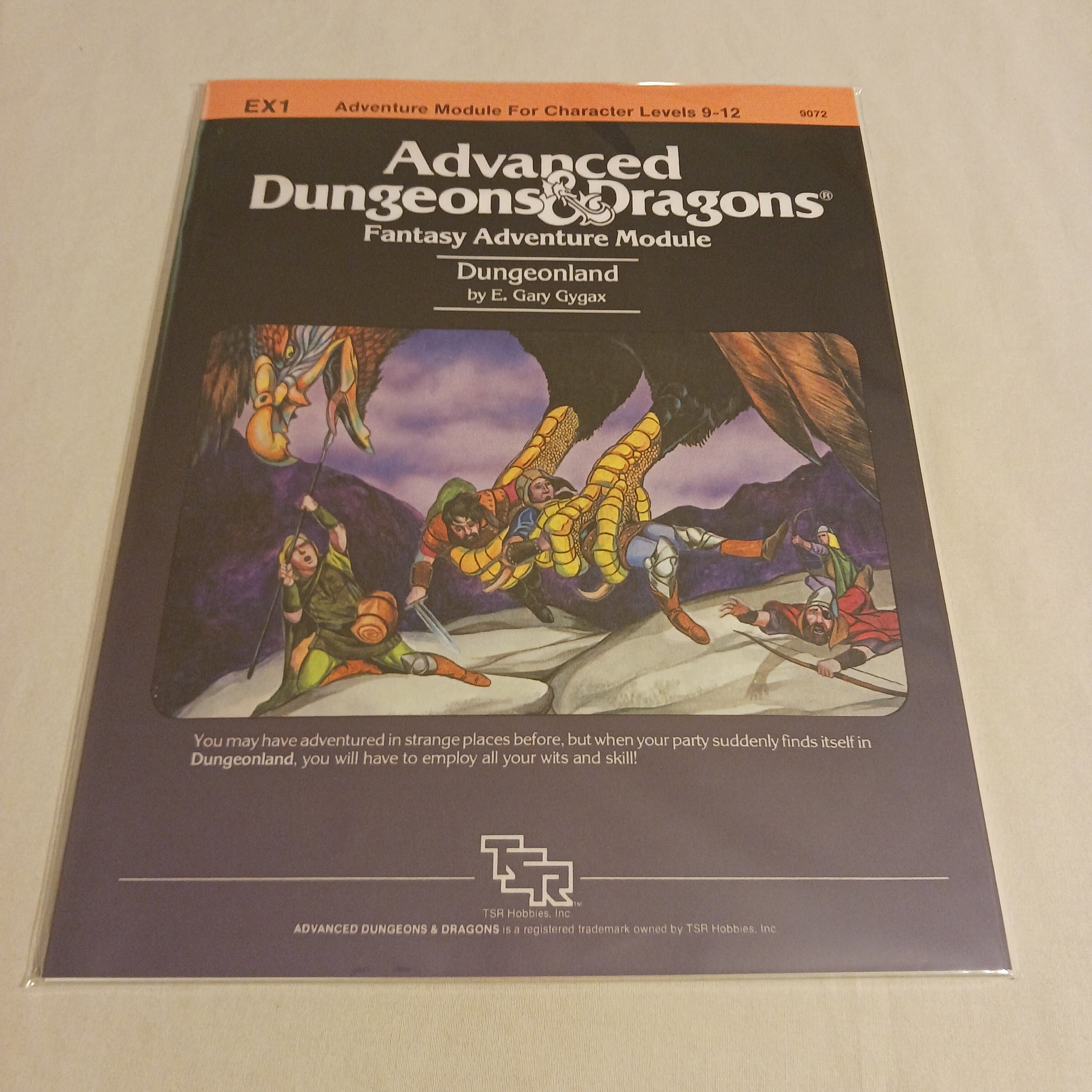 1st edition EX1 Dungeonland