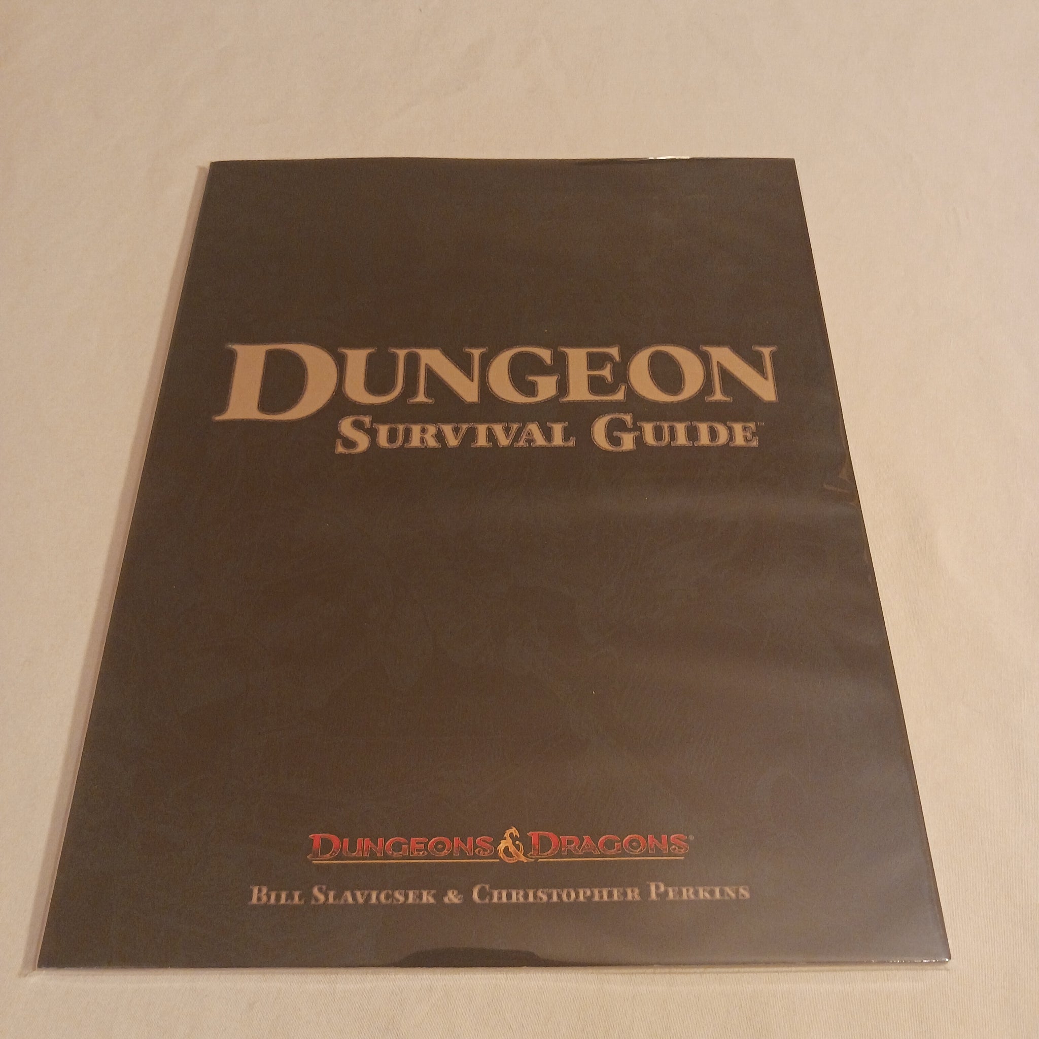 Dungeon Survival Guide